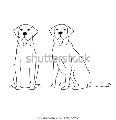 Labrador Dog Line Illustration Sits Set Stock Illustration 2230772655