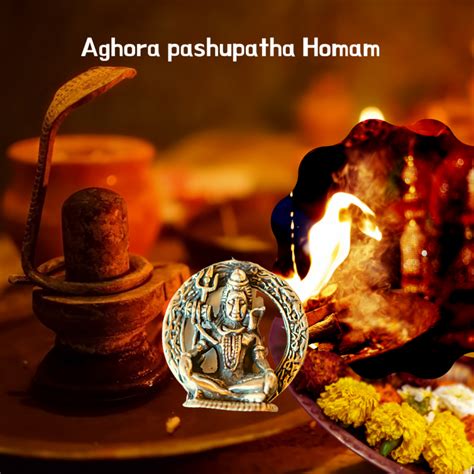 Aghora Pashupatha Homam Aghora Havan Pooja Services Rudraksha Gemstones