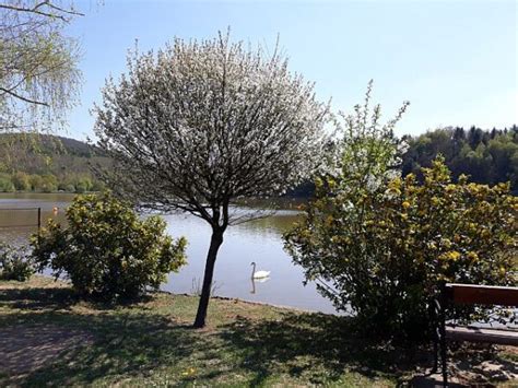 Cote d azur 22 °c: Bánki-tó, a palóc Balaton » Közel és távol Magyarország utazás