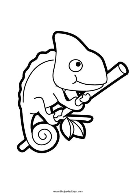 Pin en Proyectos educativos