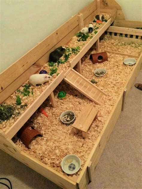 20 Homemade Diy Guinea Pig Cage Ideas To Build Your Own