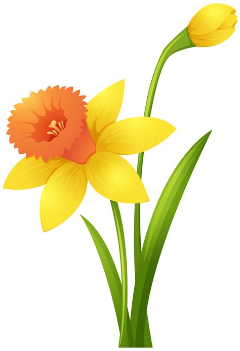 Fleurs jonquille de couleur jaune - Telecharger Vectoriel Gratuit