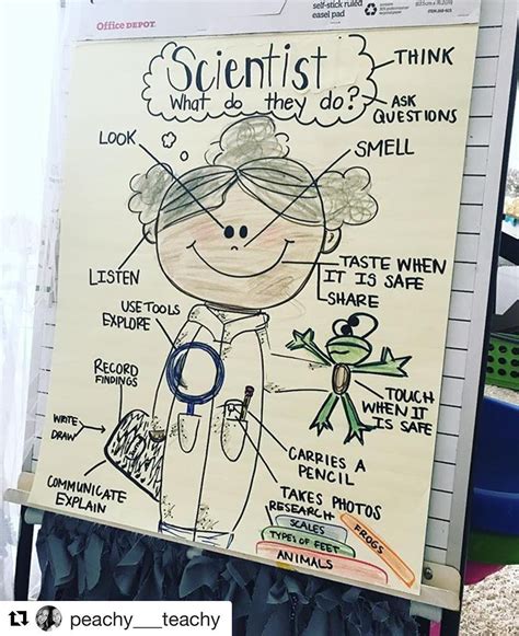 Awesome Science Anchor Chart By Peachy Teachy What Are Some Of Your Favorite Anchor Charts