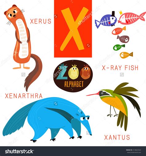 clipart that begins with letter x 20 free Cliparts | Download images on