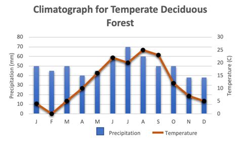 Precipitation In Deciduous Forests Is Best Described As