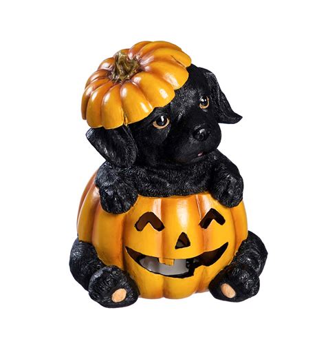 Led Puppy In A Pumpkin Figures Set Of 4 Plow And Hearth