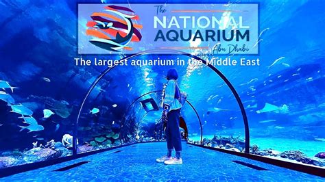 National Aquarium Abudhabi Al Qana Aquarium The National Aquarium