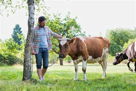 Male Farmer Checking On His Herd On His Farm Stock Image Image Of