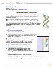 Interactive versions of the tasks and answers included. Building DNA Gizmo.pdf - Name Date Student Exploration ...