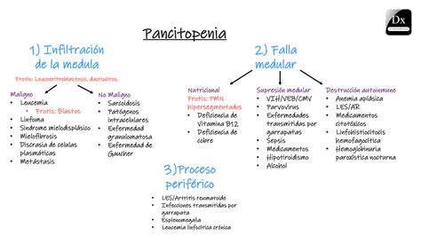Pancitopenia The Clinical Problem Solvers