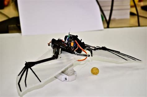 The autonomous rebar robots tybot and ironbot are robotic tools that help contractors and dbes save money robotics as tools. BaTboT, el robot inspirado en los murciélagos