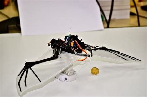BaTboT, el robot inspirado en los murciélagos