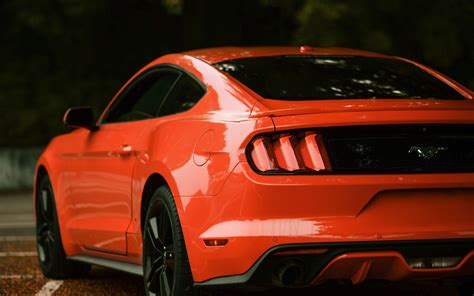 Ford Mustang K Ultra Hd Wallpapers Wallpaper Cave