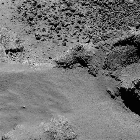 Cometwatch Early August Round Up Rosetta Esas Comet Chaser