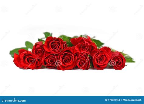 Bunch Of Red Roses On White Background Stock Image Image Of Fresh