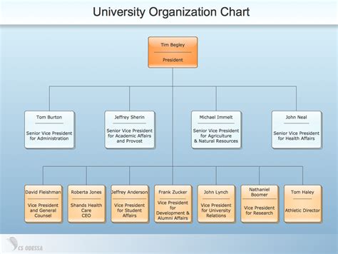 Organizational Structure Org Chart University Organization Chart