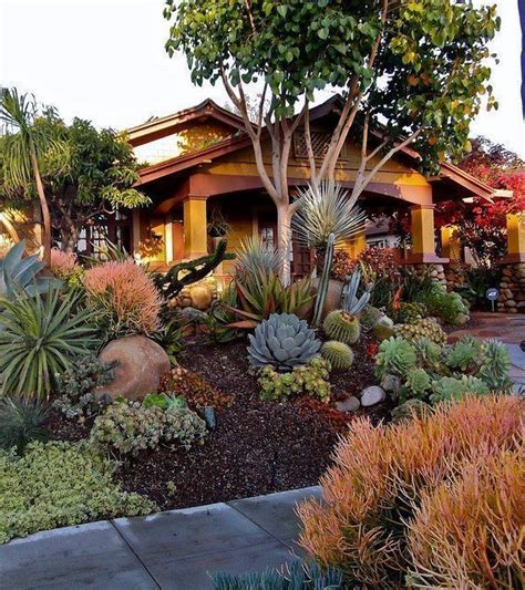 Drought Resistant Front Yard With Plants That Need Little To No Water