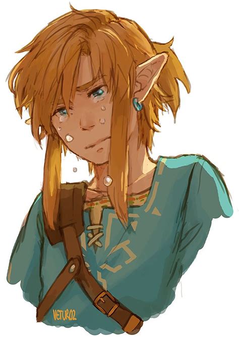 You're a warrior on the battlefield for your lord. Art by vetur02 | Legend of zelda, Legend of zelda breath ...