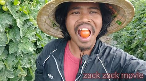 Kerja di australia petih buah apel,buah pir hijau,dan jeruk atau lemon klu disini #subscribe #lope #abis dengan biaya. OMG!!!! Ini PUNCANYA kenapa ramai SANGAT rakyat MALAYSIA ...