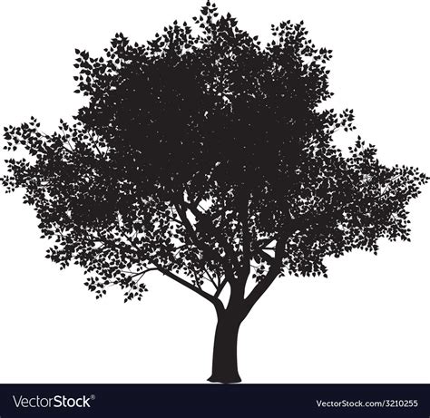 Tree Silhouette Royalty Free Vector Image Vectorstock