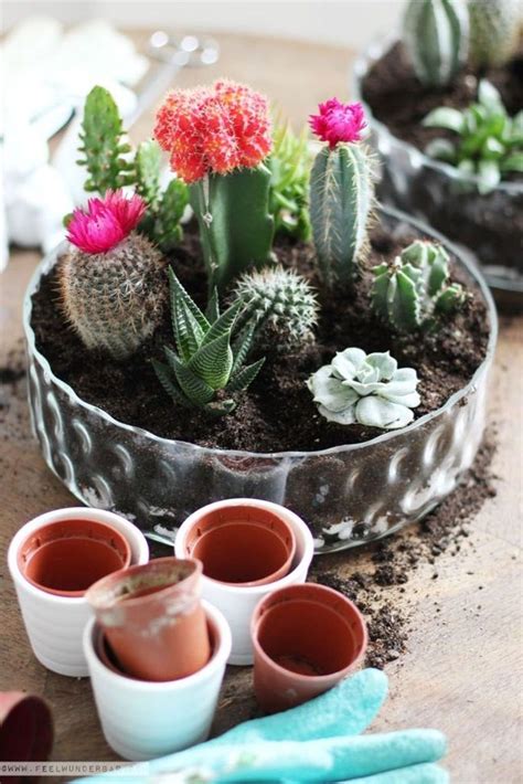 45 Perfect Diy Small Planters Ideas You Can Copy In 2020 Succulents