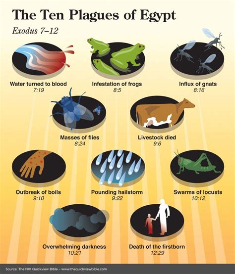 The Quick View Bible The Ten Plagues of Egypt | Family Worship idea