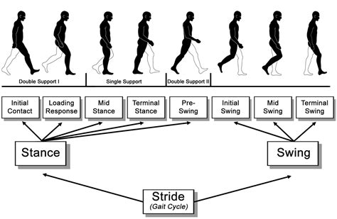 Gait And Balance Dysfunction In Older Adults Challenges And