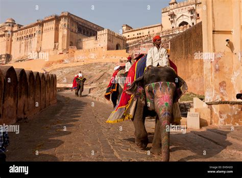 Tourist Elephant Ride To Amber Fort Jaipur Rajasthan India Asia