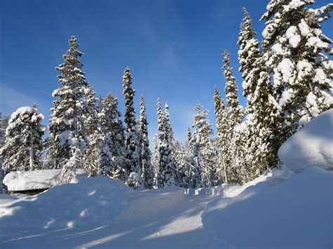 Follow the news via @newsfromfinland. 10 Best Finland Lapland Outdoor Adventures 2020/2021 (With ...