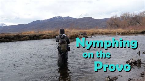Late Fall European Nymphing On The Middle Provo River YouTube