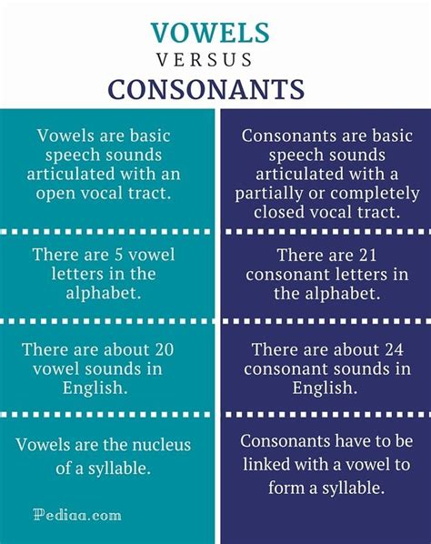Difference Between Vowels And Consonants Infographic Linguistics