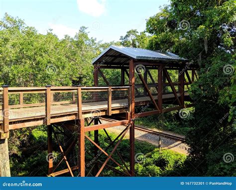 Hiking Trail Canopy Bridge In Tallahassee Florida Stock Image Image
