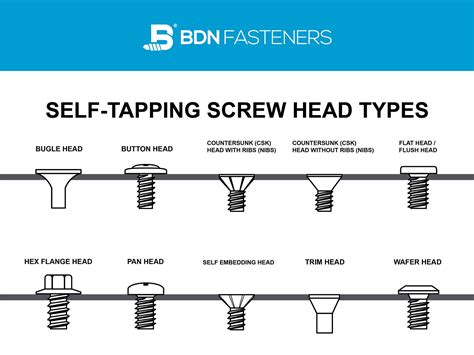 10 Screw Head Types Different Self Tapping Screw Head Types