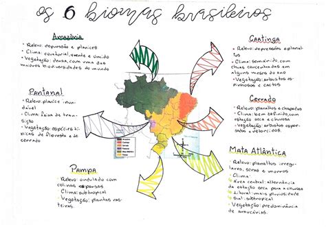 Mapa Mental Dos Biomas Brasileiros Edulearn