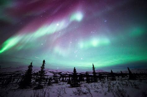 Northern Lights Denali National Park Alaska Photo By Dan Leifheit