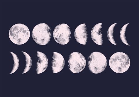 Free Moon Phases Vector Vector Art At Vecteezy Df