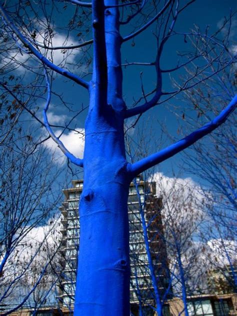 The Blue Trees Blue Tree Installation Art Tree Art