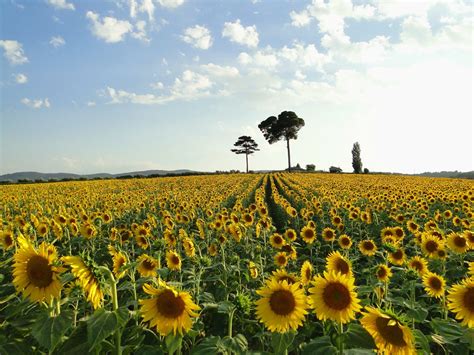 Umbria A Voyage To The Umbria Region Italy Europe Perugia Terni