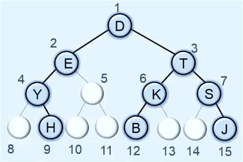 Array Representation Of Binary Tree Data Structures