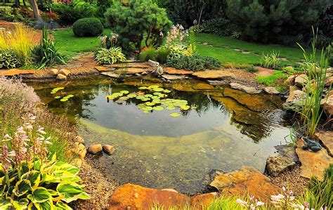 Maybe you would like to learn more about one of these? Pond Maintenance To Prepare For Summer