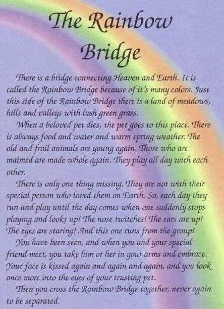 When an animal dies that has been especially close to someone here, that pet goes to rainbow. Pin by Shavahn Danielle on Misc | Rainbow bridge dog ...
