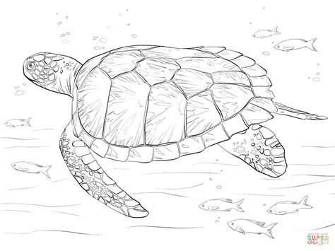 May 23 is celebrated since 2000 as the world turtle day. Sea Turtle Coloring Pages - Kidsuki