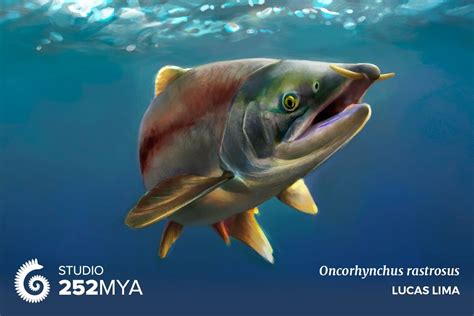 Oncorhynchus Rastrosus Artwork By Lucas Lima Sabertooth Salmon Lived