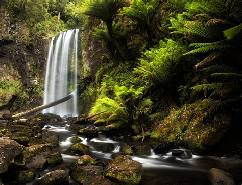 Hopetoun Falls The Gem In The Great Otway National Park In 2020
