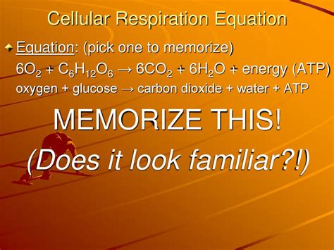 Cellular Respiration Ppt Download