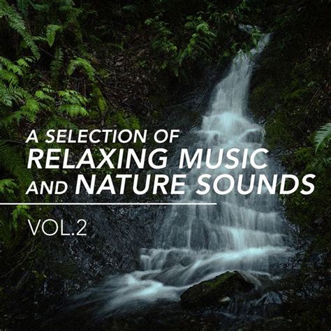 A Selection Of Relaxing Music And Nature Sounds Vol 2 Nature Sounds