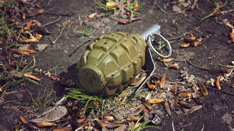 Maharashtra Three Hand Grenades Found Packed In Plastic Bag In Koyna River