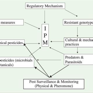 Ipm relies on an intimate knowledge of the life cycles of both beneficial and pest insects, and the creation of a healthy garden habitat based on this knowledge. (PDF) Integrated Pest Management Package for Rice