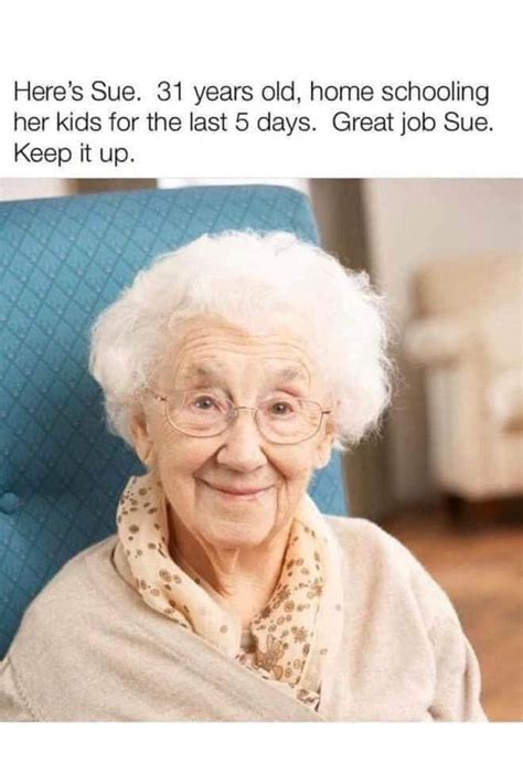 12 of the funniest homeschooling memes What's the truth about them?