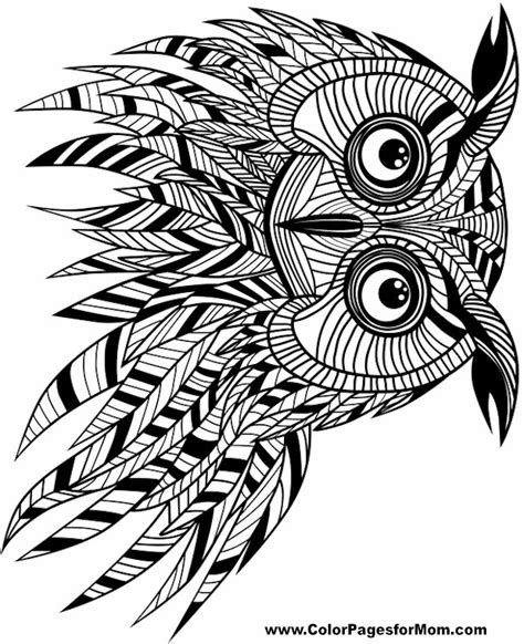 Free Printable Adult Coloring Pages Owl Coloring Pages